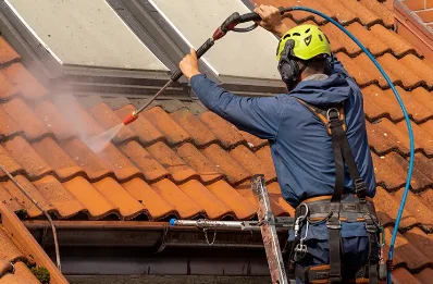 Démoussage et hydrofuge de toiture à Georfans